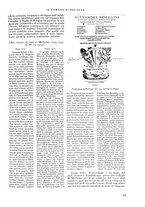 giornale/CFI0424643/1933/unico/00000081