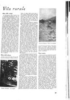 giornale/CFI0424643/1933/unico/00001439