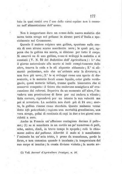 L'agricoltore periodico mensile del Comizio agrario lucchese