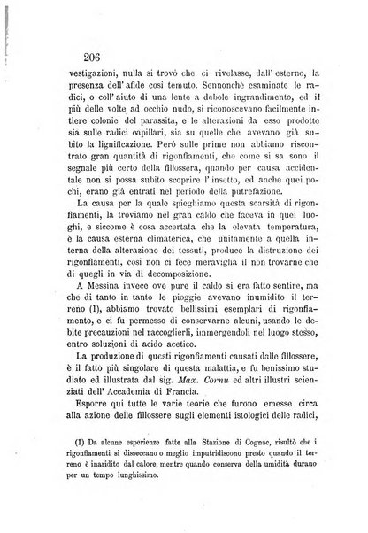 L'agricoltore periodico mensile del Comizio agrario lucchese