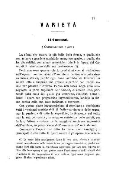 L'agricoltore periodico mensile del Comizio agrario lucchese