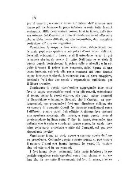 L'agricoltore periodico mensile del Comizio agrario lucchese