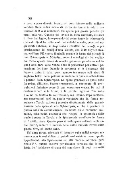 L'agricoltore periodico mensile del Comizio agrario lucchese