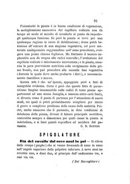 L'agricoltore periodico mensile del Comizio agrario lucchese