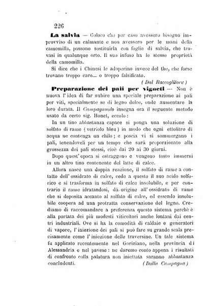 L'agricoltore periodico mensile del Comizio agrario lucchese