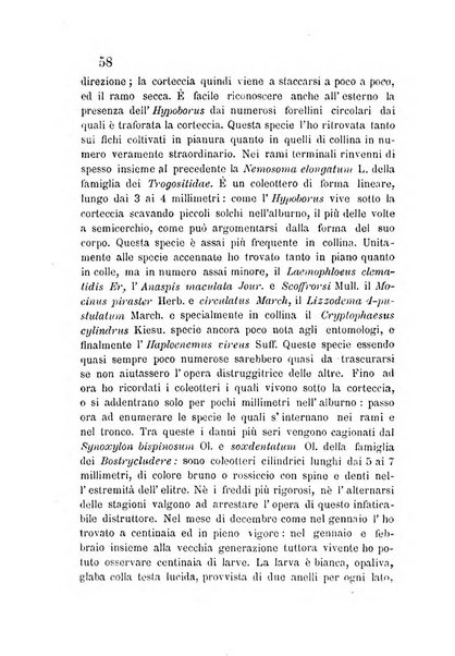 L'agricoltore periodico mensile del Comizio agrario lucchese