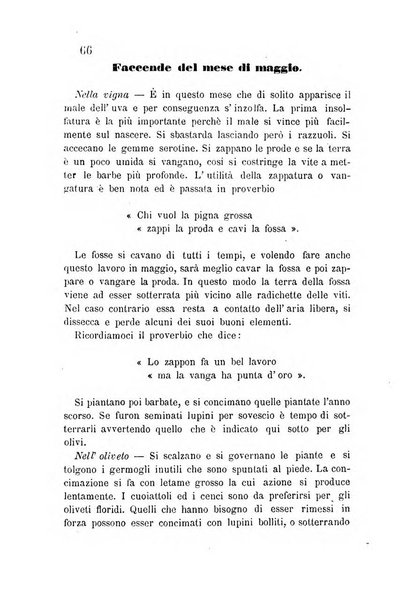 L'agricoltore periodico mensile del Comizio agrario lucchese