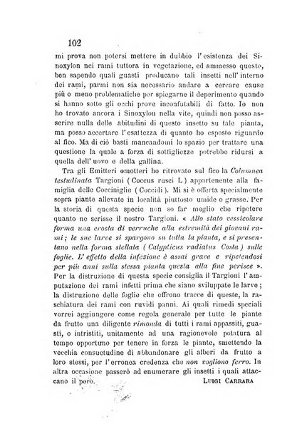 L'agricoltore periodico mensile del Comizio agrario lucchese