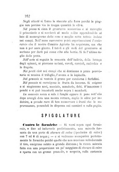 L'agricoltore periodico mensile del Comizio agrario lucchese