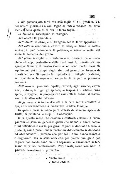 L'agricoltore periodico mensile del Comizio agrario lucchese