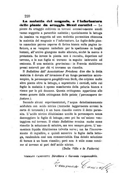 L'agricoltore periodico mensile del Comizio agrario lucchese