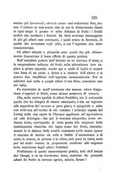 L'agricoltore periodico mensile del Comizio agrario lucchese