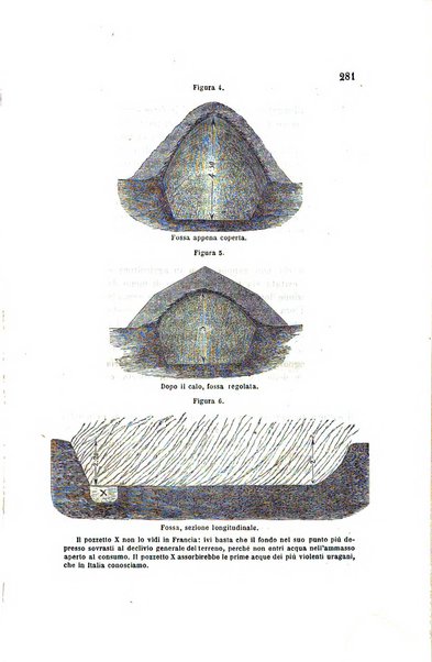 L'agricoltore bergamasco