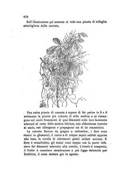 L'agricoltore bergamasco