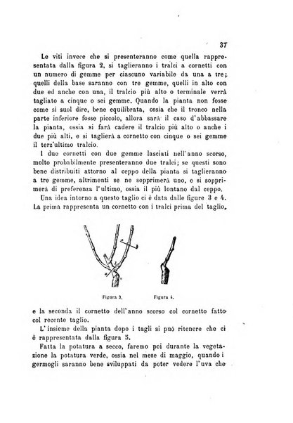 L'agricoltore bergamasco