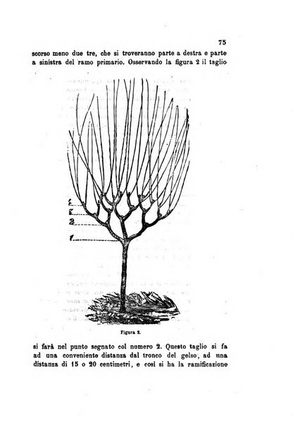 L'agricoltore bergamasco