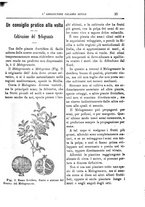 giornale/CFI0425650/1887/unico/00000041