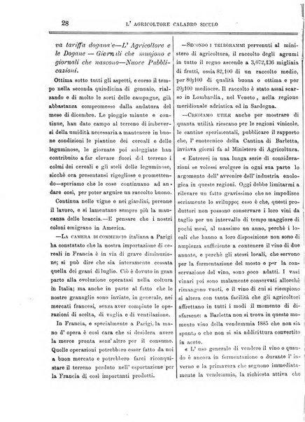 L'agricoltore calabro siculo giornale di agricoltura pratica