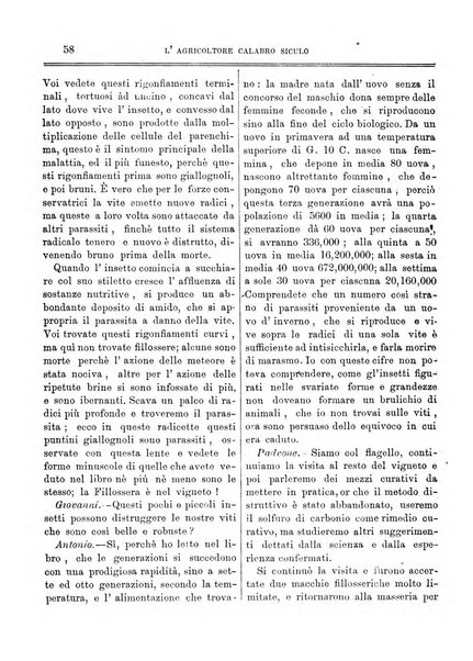 L'agricoltore calabro siculo giornale di agricoltura pratica