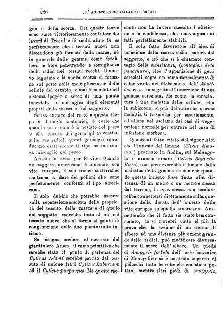 L'agricoltore calabro siculo giornale di agricoltura pratica