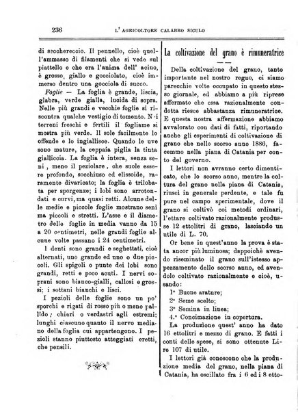 L'agricoltore calabro siculo giornale di agricoltura pratica