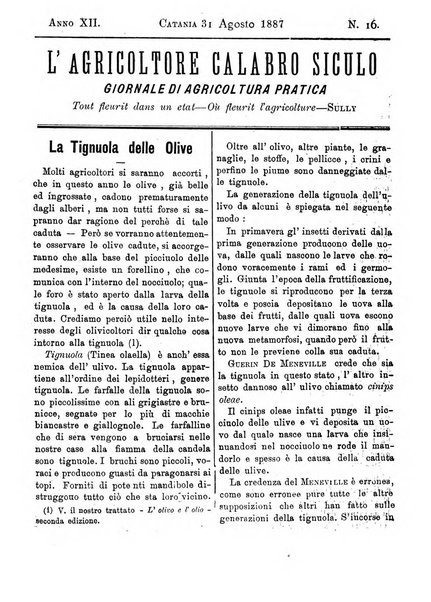 L'agricoltore calabro siculo giornale di agricoltura pratica