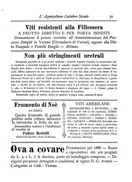 L'agricoltore calabro siculo giornale di agricoltura pratica