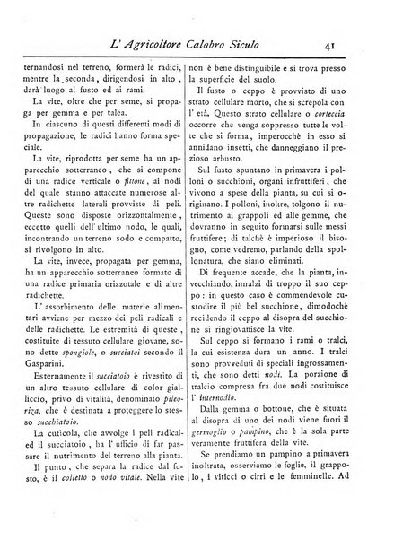 L'agricoltore calabro siculo giornale di agricoltura pratica