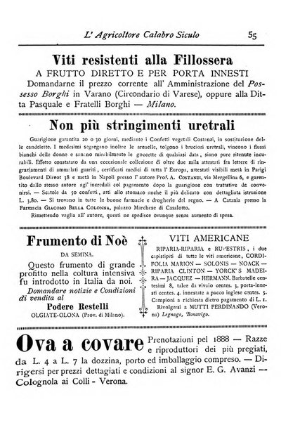 L'agricoltore calabro siculo giornale di agricoltura pratica