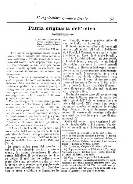 L'agricoltore calabro siculo giornale di agricoltura pratica