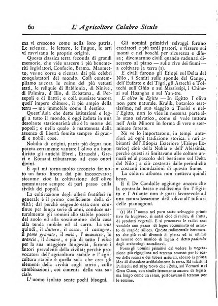 L'agricoltore calabro siculo giornale di agricoltura pratica