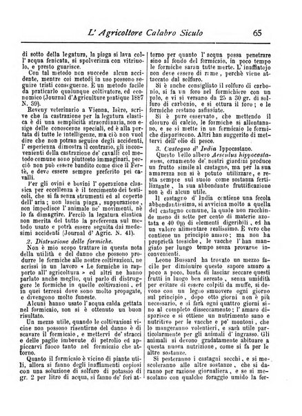 L'agricoltore calabro siculo giornale di agricoltura pratica