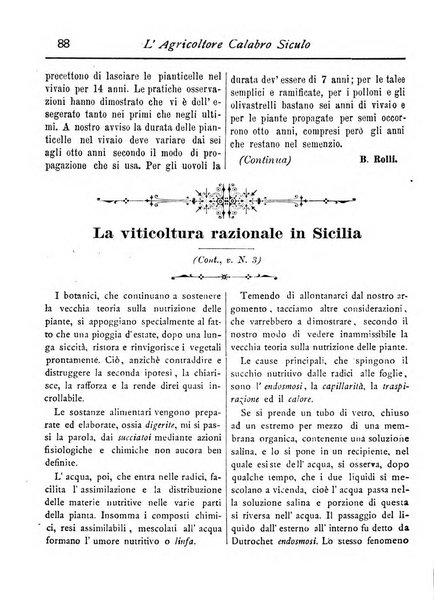 L'agricoltore calabro siculo giornale di agricoltura pratica