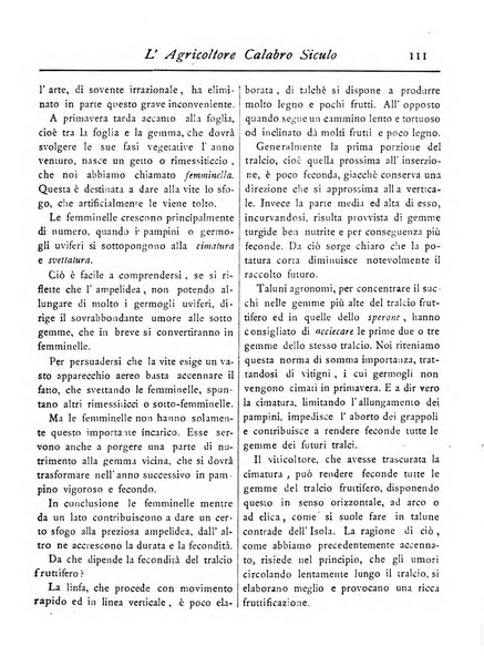 L'agricoltore calabro siculo giornale di agricoltura pratica