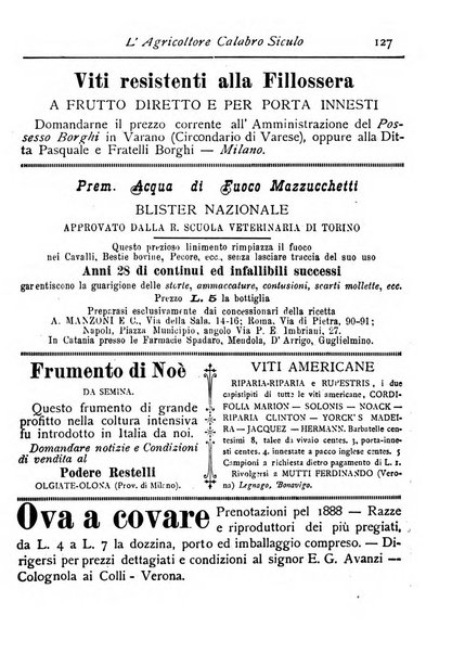 L'agricoltore calabro siculo giornale di agricoltura pratica