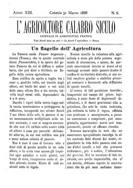 L'agricoltore calabro siculo giornale di agricoltura pratica