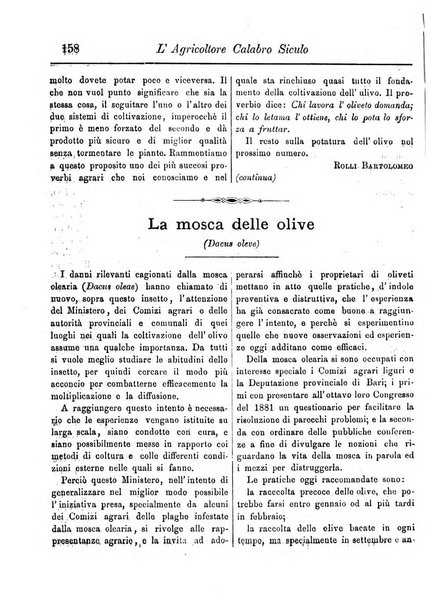 L'agricoltore calabro siculo giornale di agricoltura pratica