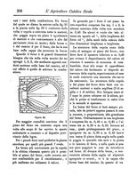 giornale/CFI0425650/1888/unico/00000238