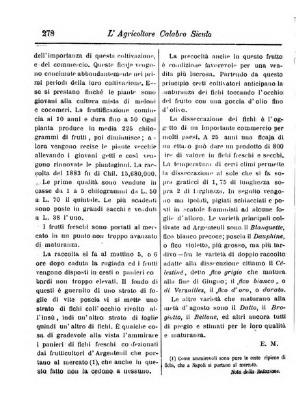 L'agricoltore calabro siculo giornale di agricoltura pratica