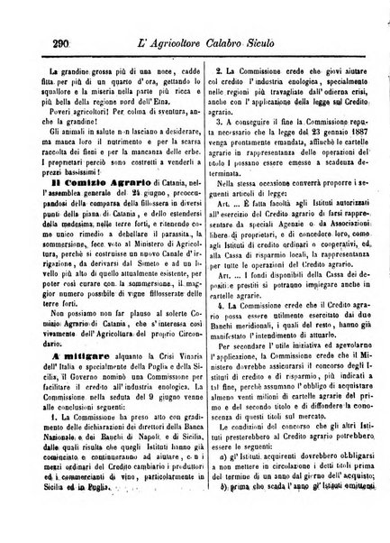 L'agricoltore calabro siculo giornale di agricoltura pratica