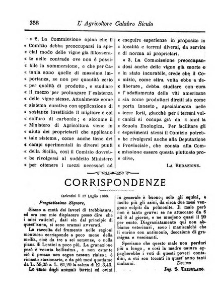 L'agricoltore calabro siculo giornale di agricoltura pratica