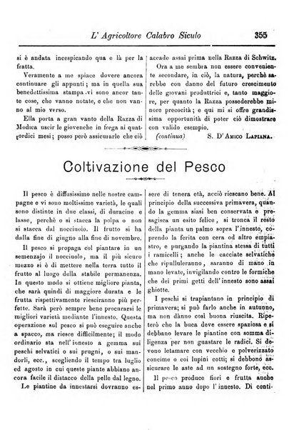 L'agricoltore calabro siculo giornale di agricoltura pratica