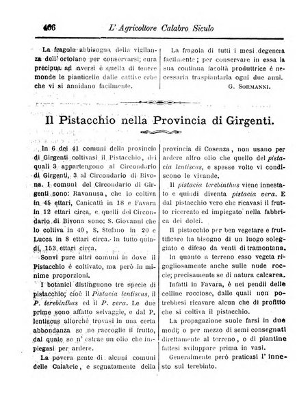 L'agricoltore calabro siculo giornale di agricoltura pratica