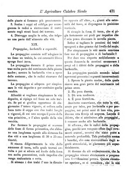 L'agricoltore calabro siculo giornale di agricoltura pratica