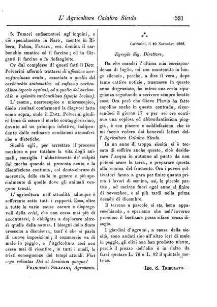 L'agricoltore calabro siculo giornale di agricoltura pratica