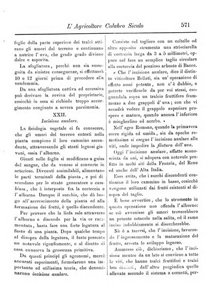 L'agricoltore calabro siculo giornale di agricoltura pratica