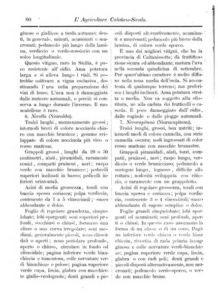 L'agricoltore calabro siculo giornale di agricoltura pratica