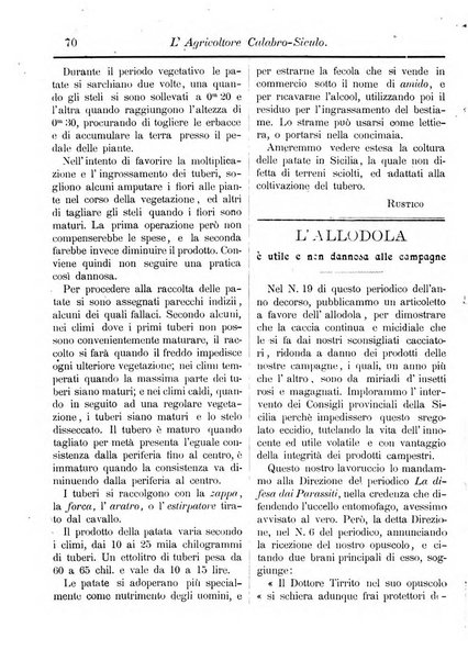 L'agricoltore calabro siculo giornale di agricoltura pratica