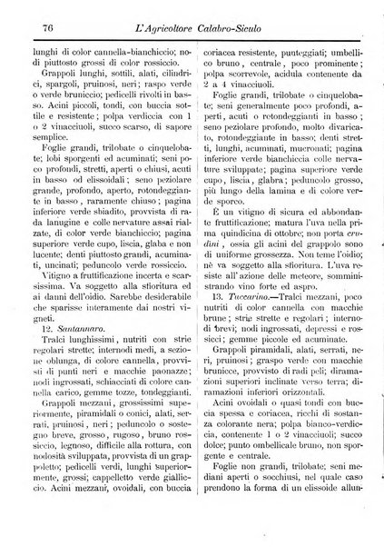 L'agricoltore calabro siculo giornale di agricoltura pratica