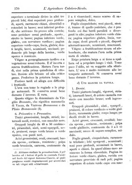 L'agricoltore calabro siculo giornale di agricoltura pratica